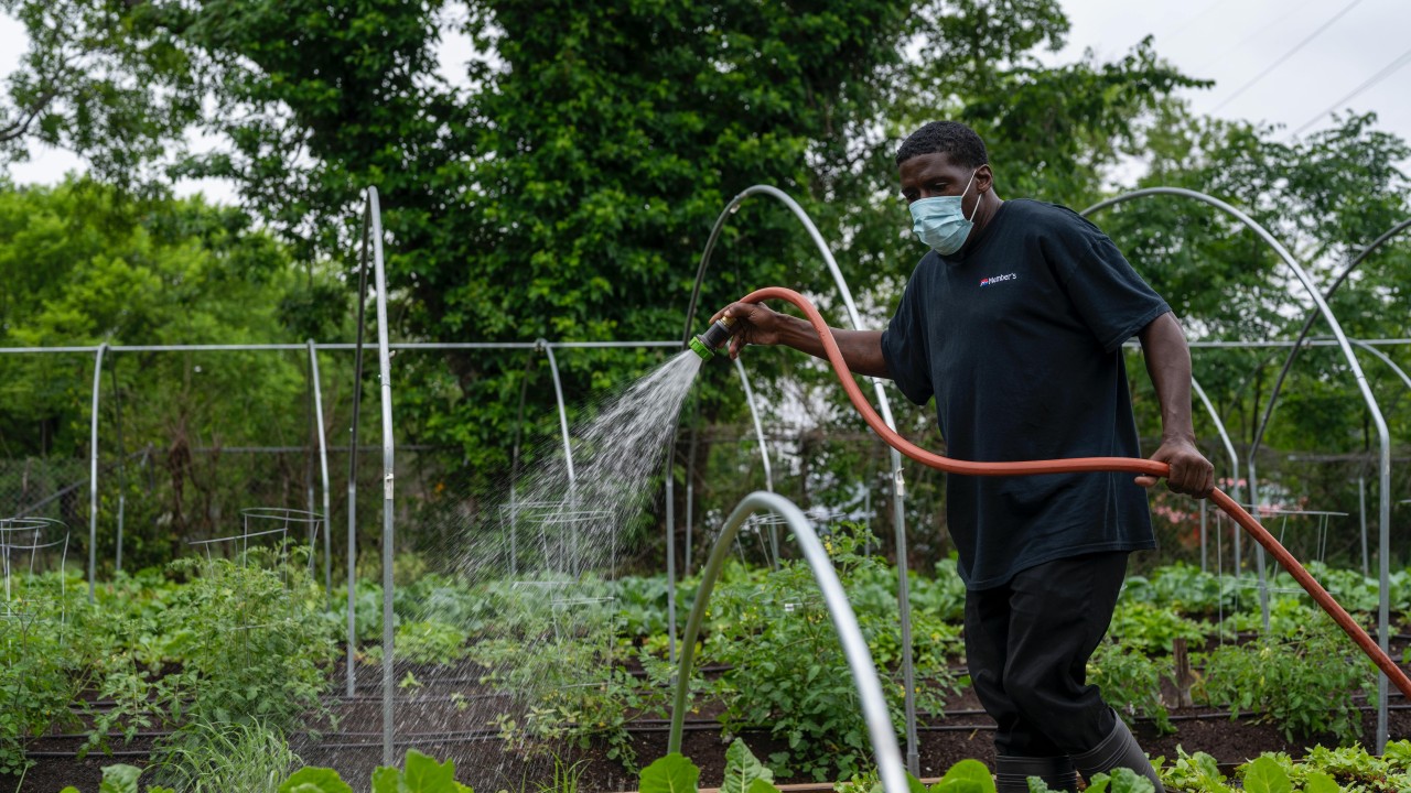 AI and the Future of Agriculture in Africa